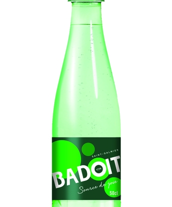 Eau minerale gazeuse (PET 50CLx30) Badoit Verte