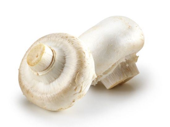 ChampIgnon Pied Coupe ** Bio **  Cat 1 (au colis de 3 kg)       