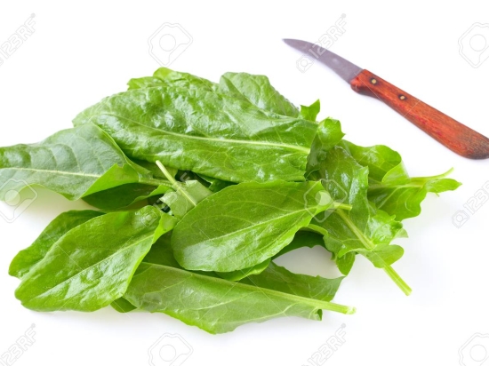 Oseille Botte 100g Cat 1 (à la botte)                                    