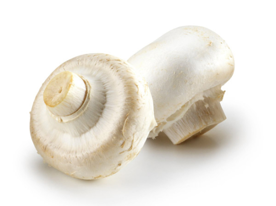 Champignon Pied Coupe Cat 1 (au colis de 3kg)