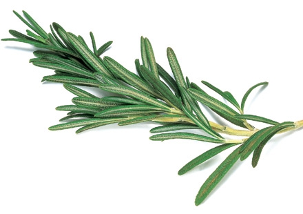 Romarin 60G Cat 1 (à la botte)                                     