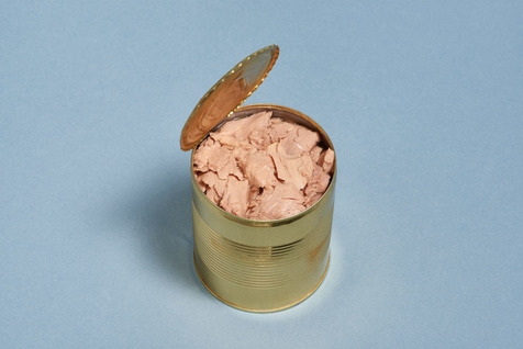 Thon Albacor Nature Morceaux & Entier 4/4          