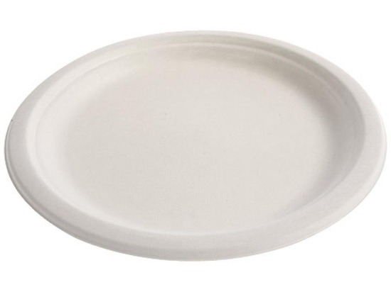 Assiette ronde pulpe blanche 228,6 mm [228,6x228,6x25] [500 (20x25)]