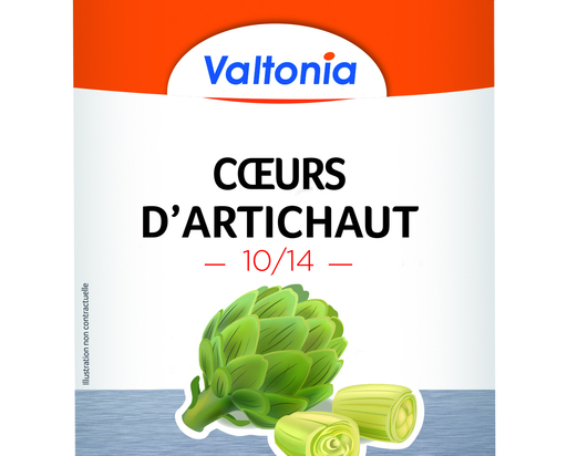 Artichaut coeur 10-14 boite 4/4 Valtonia
