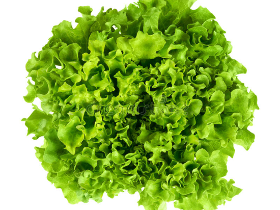 Batavia 450G+  ** Bio **  (au colis de 12 pièces)