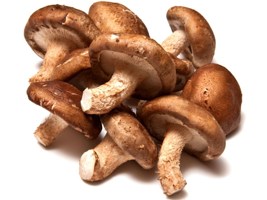 Champignon Shiitake (Lentin de Chêne) Cat 1 (au colis de 2kg)  