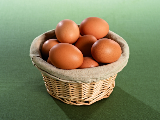 Oeuf Alveole Moyen 53/63G (X180)