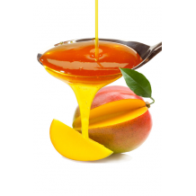 Salsa Dessert- Sauce Mangue Alphonse squeeze 1kg