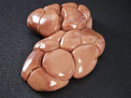 Rognon Veau Avec Graisse 0.9/1.2 Kg S/V Ue
