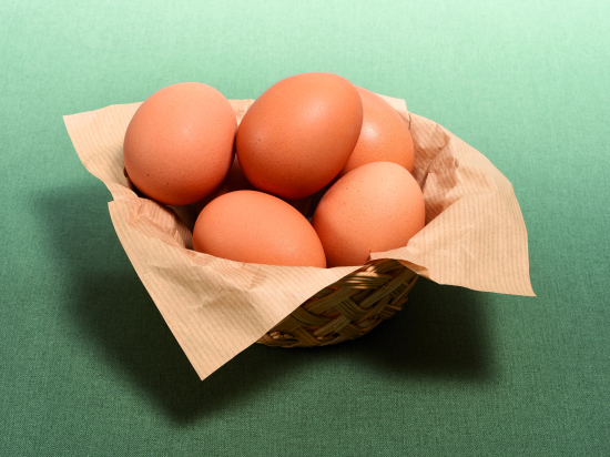 Oeuf Alveole Gros 67G (X60)