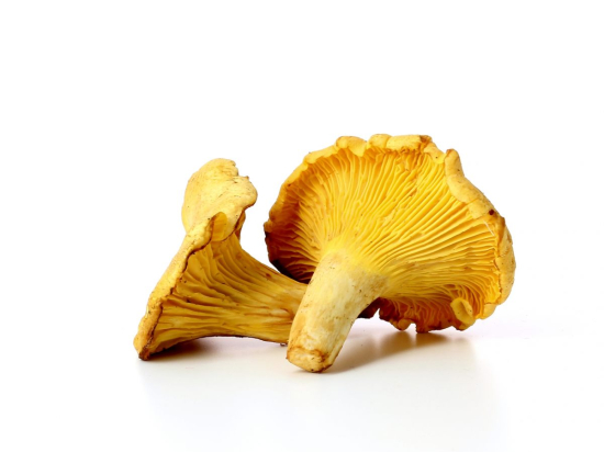 Champignon Girolle Cat 1 (au colis de 3kg)