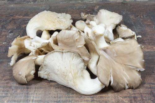 Champignon Pleurote Cat 1 (au colis de 2kg) 