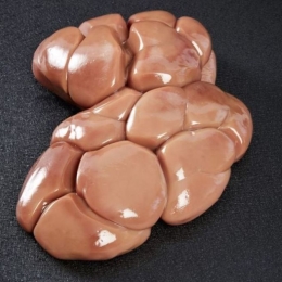 Rognon Veau Avec Graisse 0.7/1.2 Kg S/V France