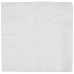 Serviettes papier non sigles 2 plis 30X30 ouate blanche *3200
