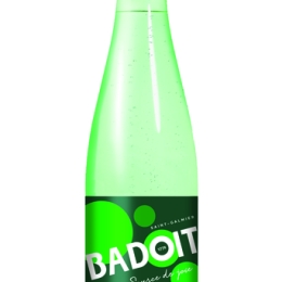 Eau minerale gazeuse (PET 50CLx30) Badoit Verte