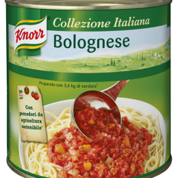 Sauce bolognese collezione italiana boite 3/1  KNORR