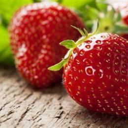 Fraise  500 gr