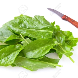 Oseille Botte 100g Cat 1 (à la botte)                                    