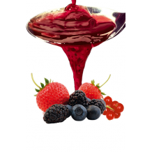 Salsa Dessert- Sauce Fruits De La Foret squeeze 1kg