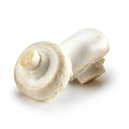 Champignon Pied Coupe Cat 1 (au colis de 3kg)
