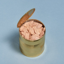 Thon Albacor Nature Morceaux & Entier 4/4          