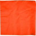 Serviette 2 plis ouate biodegradable mandarine [400x400x400] [1250 (10x125)]