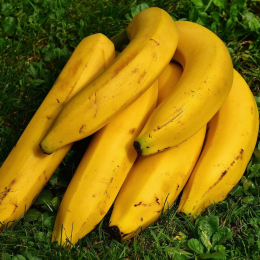 Banane Mure Cat 1 (colis de 5kg +/- 25 pièces)