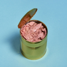 Thon Listao Nature 3/1