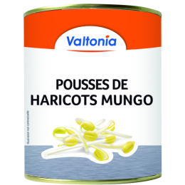 Haricot mungo pousse boite 3/1 Valtonia