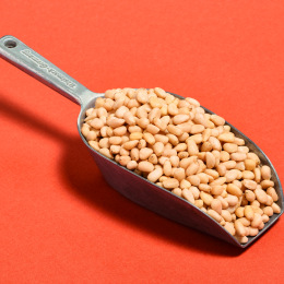 Pignon Pin 1Kg                                                                                    