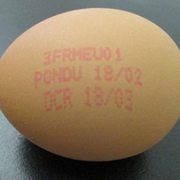 Oeuf vrac (+73Gx200)