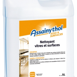 Nettoyant vitre surface  bid 5L Ass