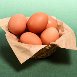 Oeuf Alveole Gros 67G (X60)