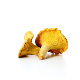 Champignon Girolle Cat 1 (au colis de 3kg)