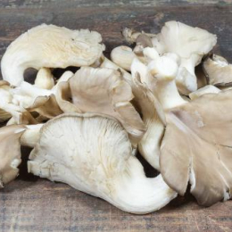 Champignon Pleurote Cat 1 (au colis de 2kg) 