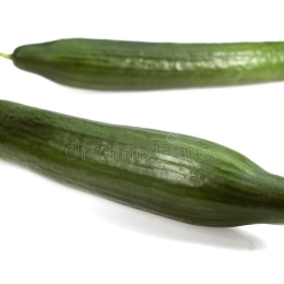 Concombre 400/500  ** Bio **   Cat 1 (au colis de 12 pièces)