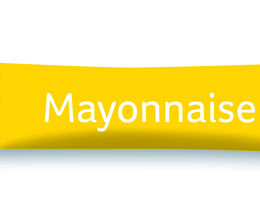 Mayonnaise col (10Gx500) Gusto DeBrio