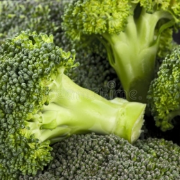 Brocoli ** Bio **  Cat 1 (au colis de 8 kg)              