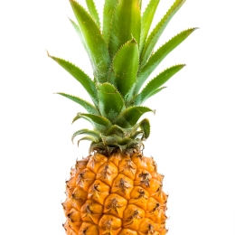 Ananas Victoria  Cat 1 (au kg/au détail)